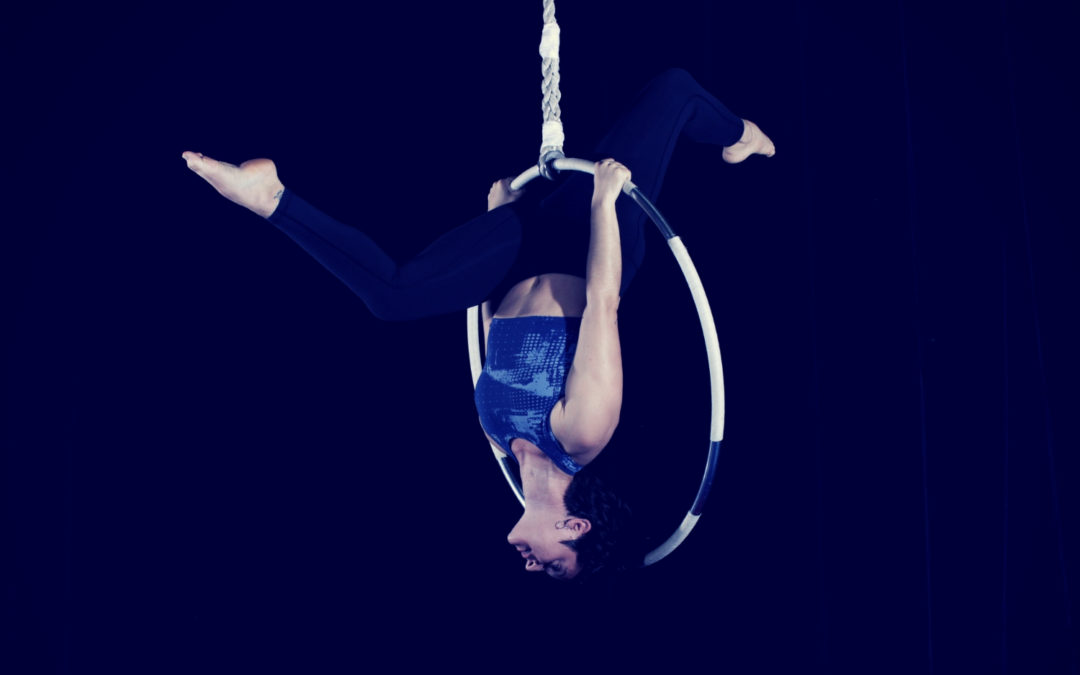 Adult Aerials