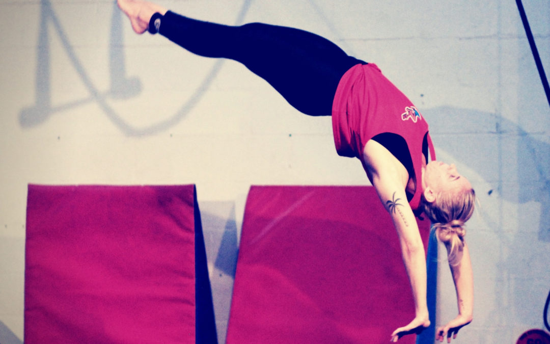 Adult Salto