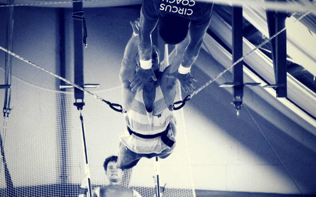 Flying Trapeze (Levels program & Casual)