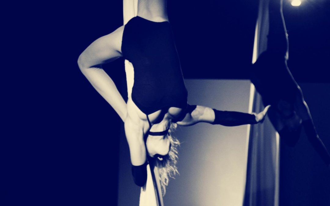 3-Day Aerial & Pole Intensive | Byron Bay