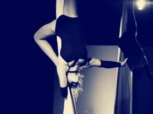 4-Day Aerial & Pole Intensive