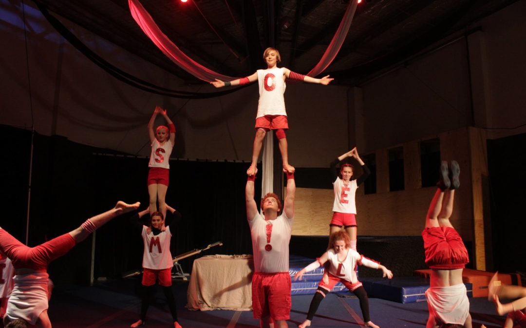 Acro Circus (Levels Program)