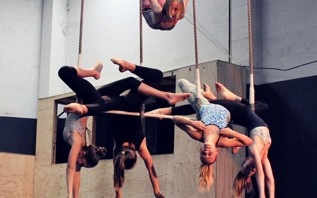 Aerials (Levels Program)