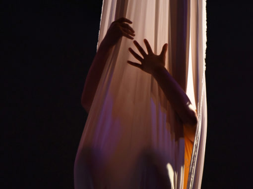 Circus Show | Byron Bay