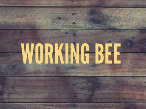 Working Bee | Byron Bay
