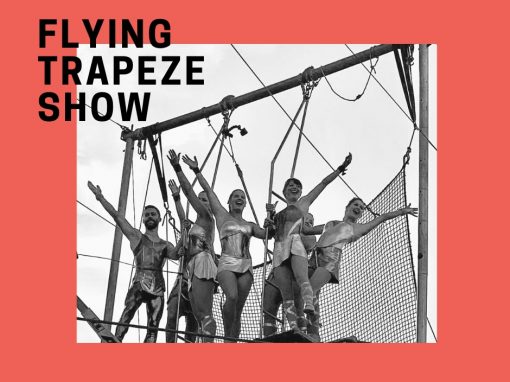Flying Trapeze Show – Sydney