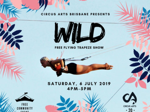 Free Flying Trapeze Show – Brisbane
