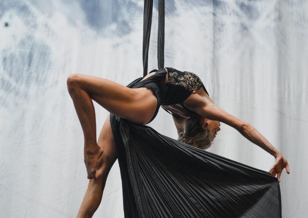 Adult Aerials & Silks