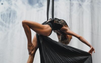 Adult Aerials & Silks